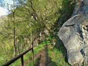 CORNA ROSSA, anello sui fianchi ed 'in groppa' da Zogno (17apr21) - FOTOGALLERY